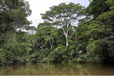 《死亡空间》重制版展示活动将会于明日凌晨1点进行